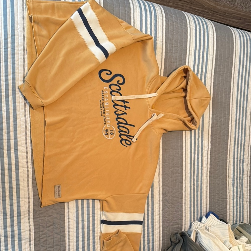 Scottsdale Graphic Cropped Hoodie